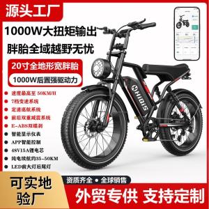 Two-Wheel Bicycle 1000W Retro Motorcycle