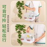 Bird Cage Take-out Bird Take-out Cage Parrot Bird Cage Bug Xuan Feng Peony
