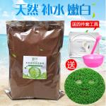 1000 grams of Thai small particle seaweed mask moisturizing beauty salon bag