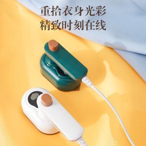 Cross-border household essential: dry and wet iron, small