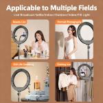 Ring Light for Mobile Live Streaming, Desktop Beauty Light for Streamers and Selfies
