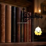 Bookshelf Lantern Light - A popular cross-border e-commerce product for libraries and bookshelves.