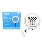 LJJ LED Fill Light/Beauty Light, 10-inch, 12-inch, 14-inch, 18-inch, 22-inch