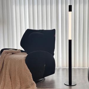 Modern minimalist retractable floor lamp, perfect for living room sofas or bedrooms, exuding a light luxury and sophisticated ambiance. Adjustable height.