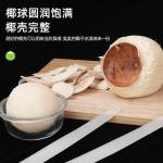 Stainless steel coconut opener, soft knife for opening coconuts, soft ruler for peeling coconut eggs, professional coconut opening tool, coconut ball.