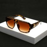 Sunglasses Fashionable
